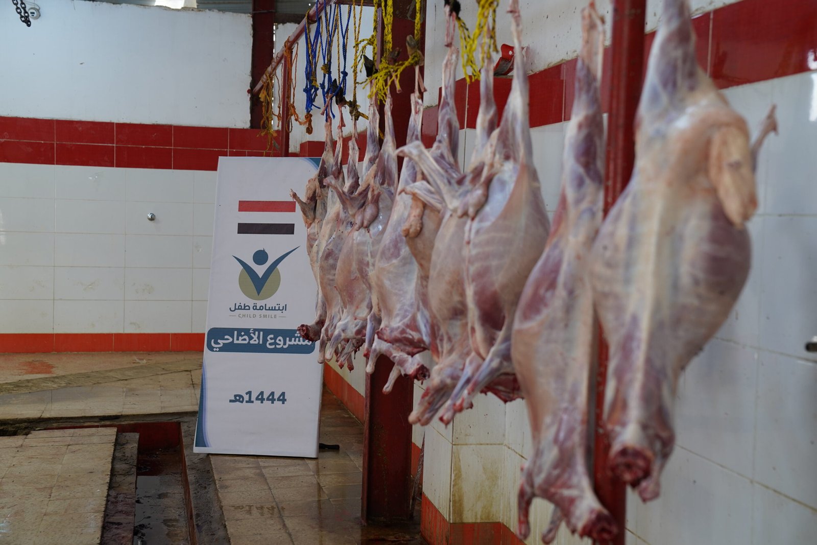 مؤسسة ابتسامة التنموية تدشن مشروع الأضاحي لعام 1444هـ في محافظة مأرب